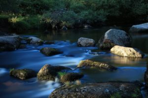 grass, River, Stream, Rocks