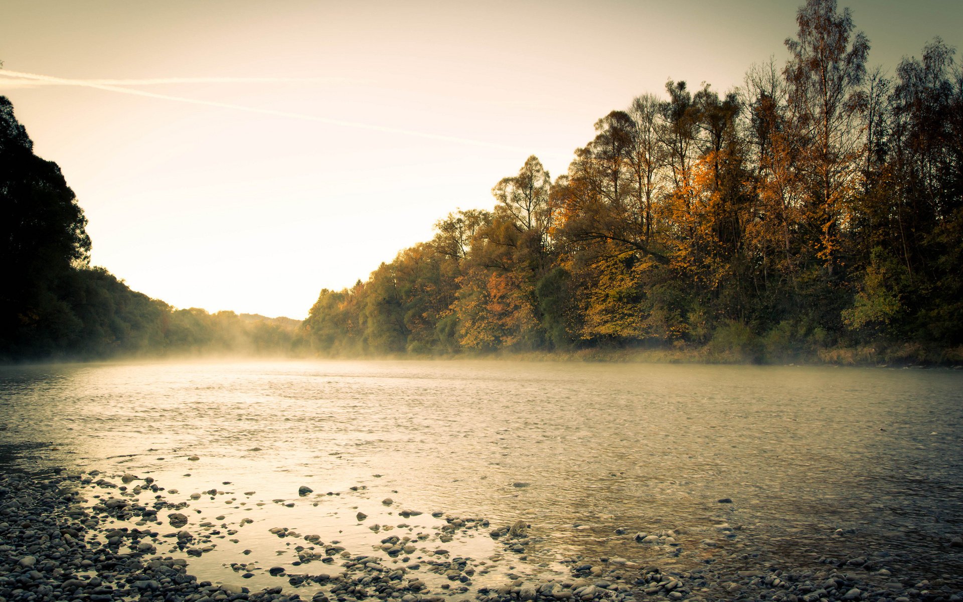 forest, River, Morning, Autumn, Fog Wallpaper