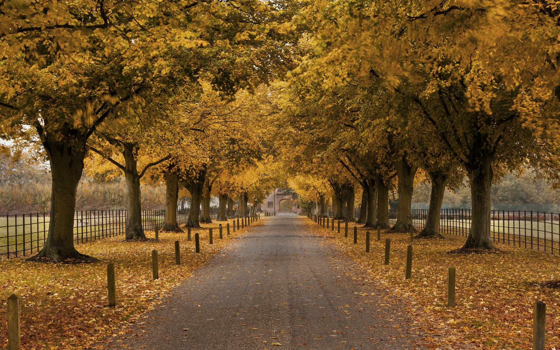 arch, Trees, Autumn, Fence, Building, Walkway Wallpaper