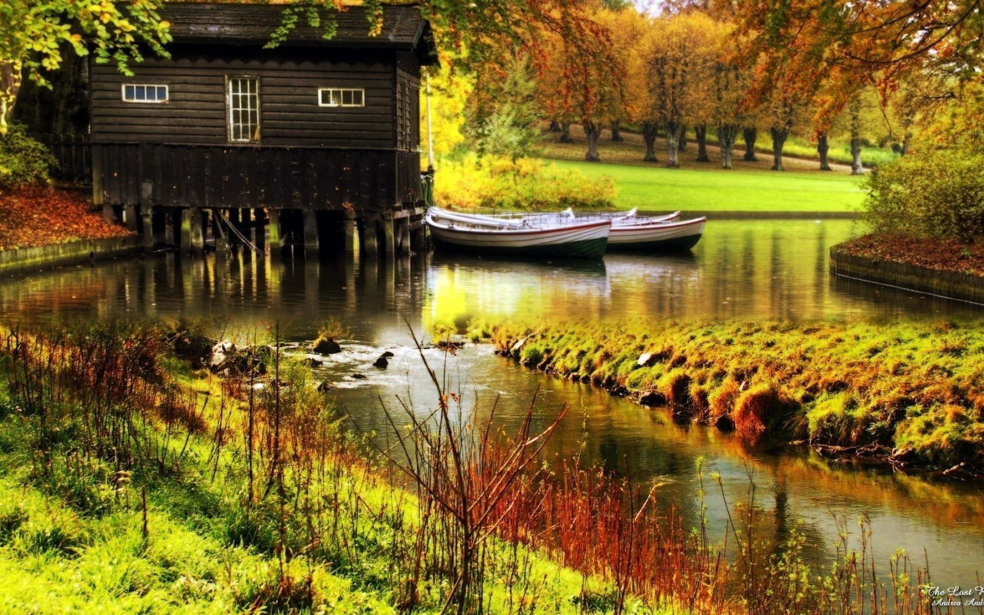 river, Nature, Photo, Forest, Autumn, Trees, House Wallpaper