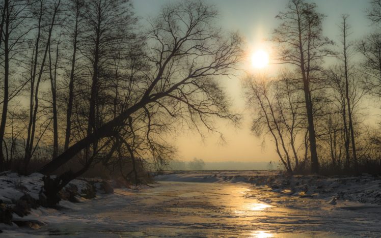 winter, Snow, River, Sun, Trees, Ice HD Wallpaper Desktop Background