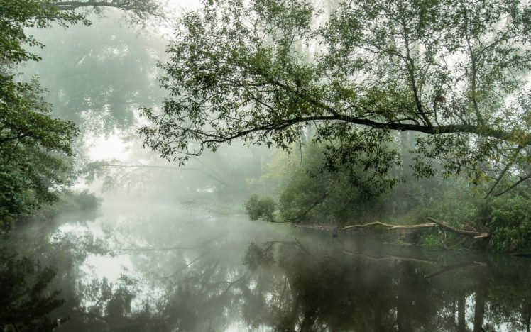 river, Trees, Mist, Morning HD Wallpaper Desktop Background