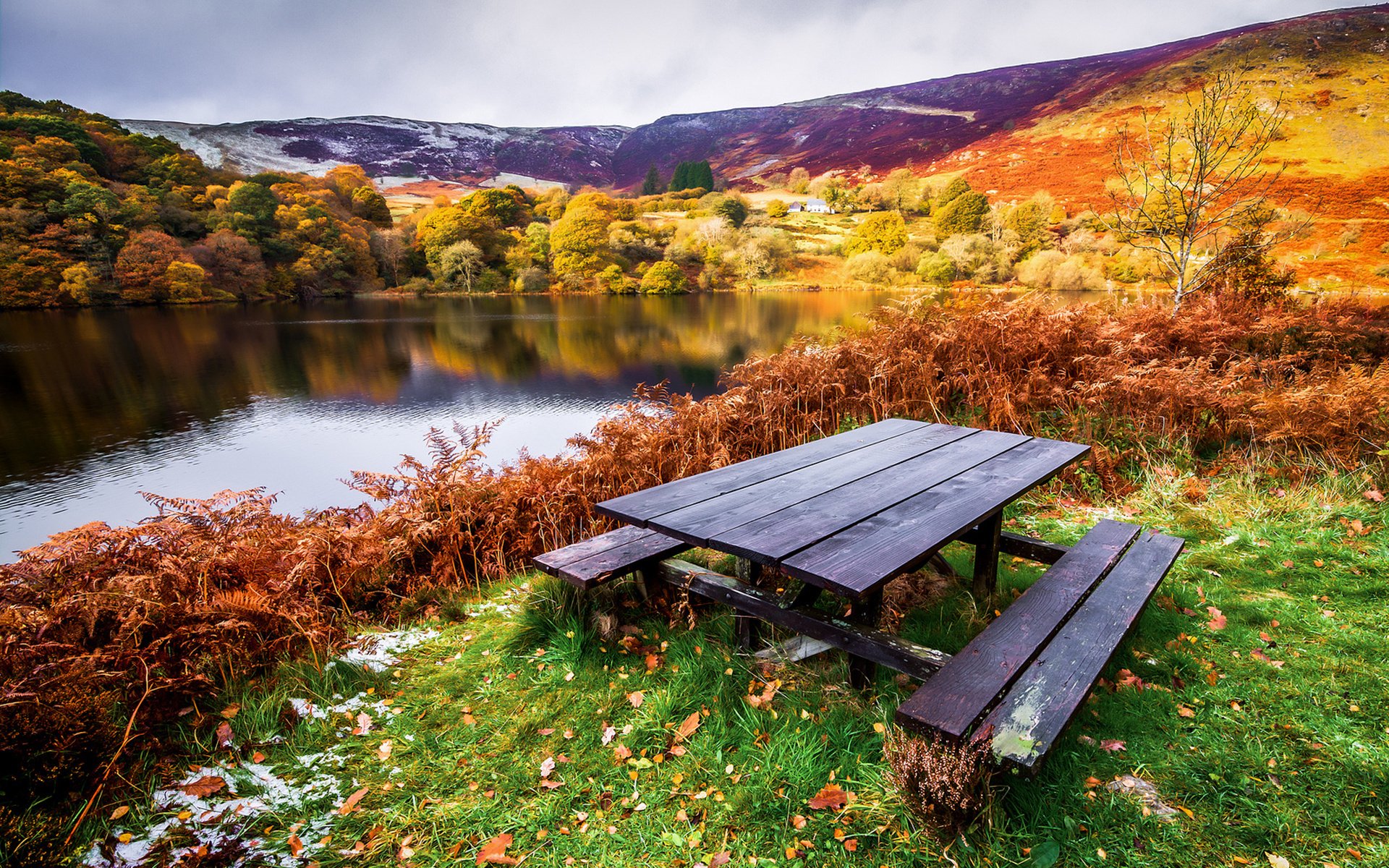 trees, Autumn, Benches, Beach, Landscape, Table, River Wallpaper