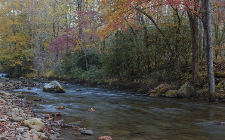 forest, Autumn, River, Rocks HD Wallpaper Desktop Background