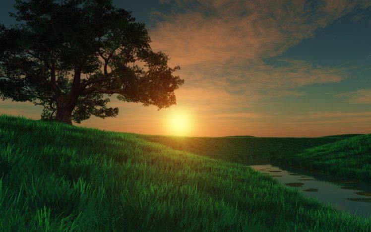 art, River, Sunset, Grass, Meadow, River, Field, Tree HD Wallpaper Desktop Background