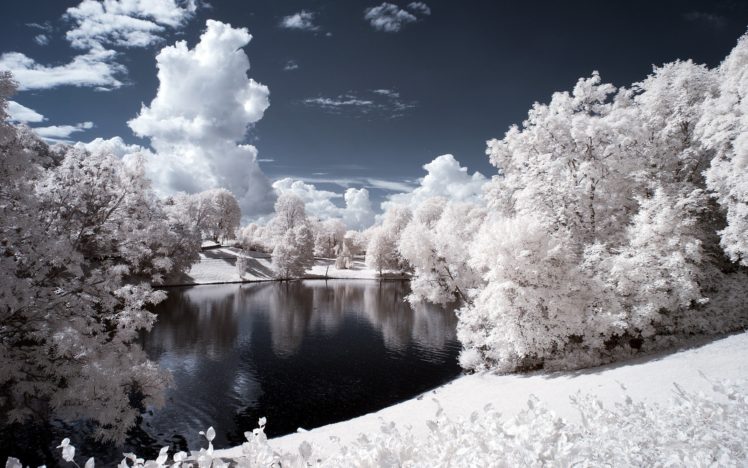 landscape, Night, Snow, Beach, River, Winter, Forest, Trees HD Wallpaper Desktop Background