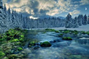 moss, Stream, Sky, River, Snow, Forest, Clouds, Rocks, Trees