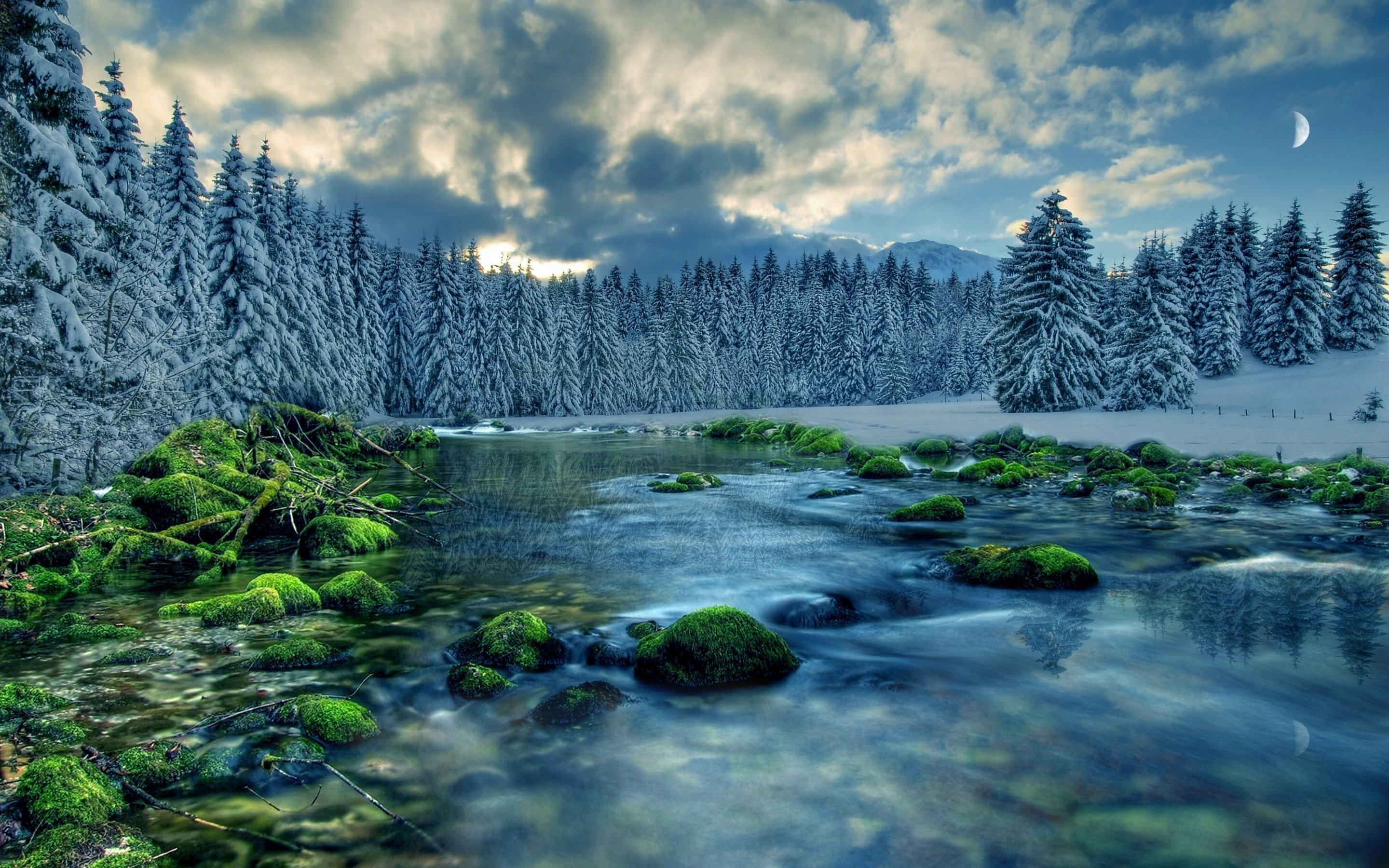 moss, Stream, Sky, River, Snow, Forest, Clouds, Rocks, Trees Wallpaper
