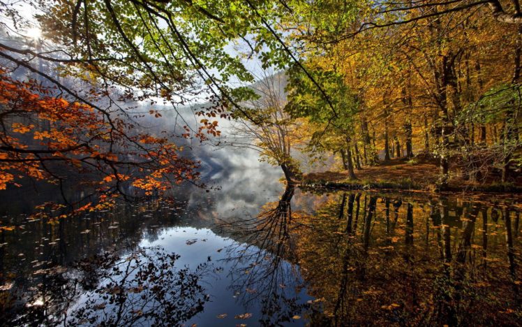 river, Trees, Leaves, Autumn HD Wallpaper Desktop Background