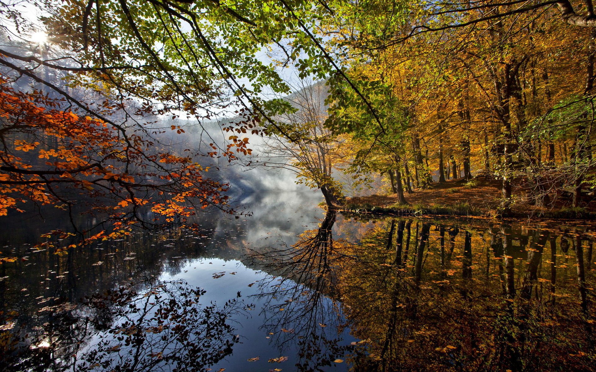 river, Trees, Leaves, Autumn Wallpaper