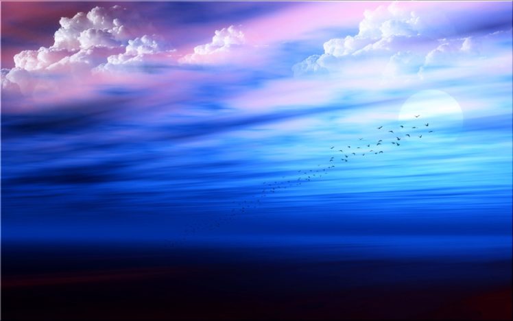 birds, Clouds, Moon, Sun, Sky, Sea, Shoal HD Wallpaper Desktop Background