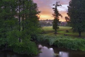 sweden, Stocks, River, Nature, Tree