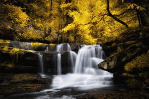 waterfall, Autumn, Cascade, Forest, River, Stream