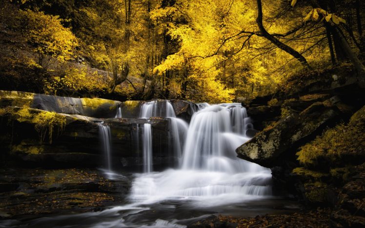 waterfall, Autumn, Cascade, Forest, River, Stream HD Wallpaper Desktop Background