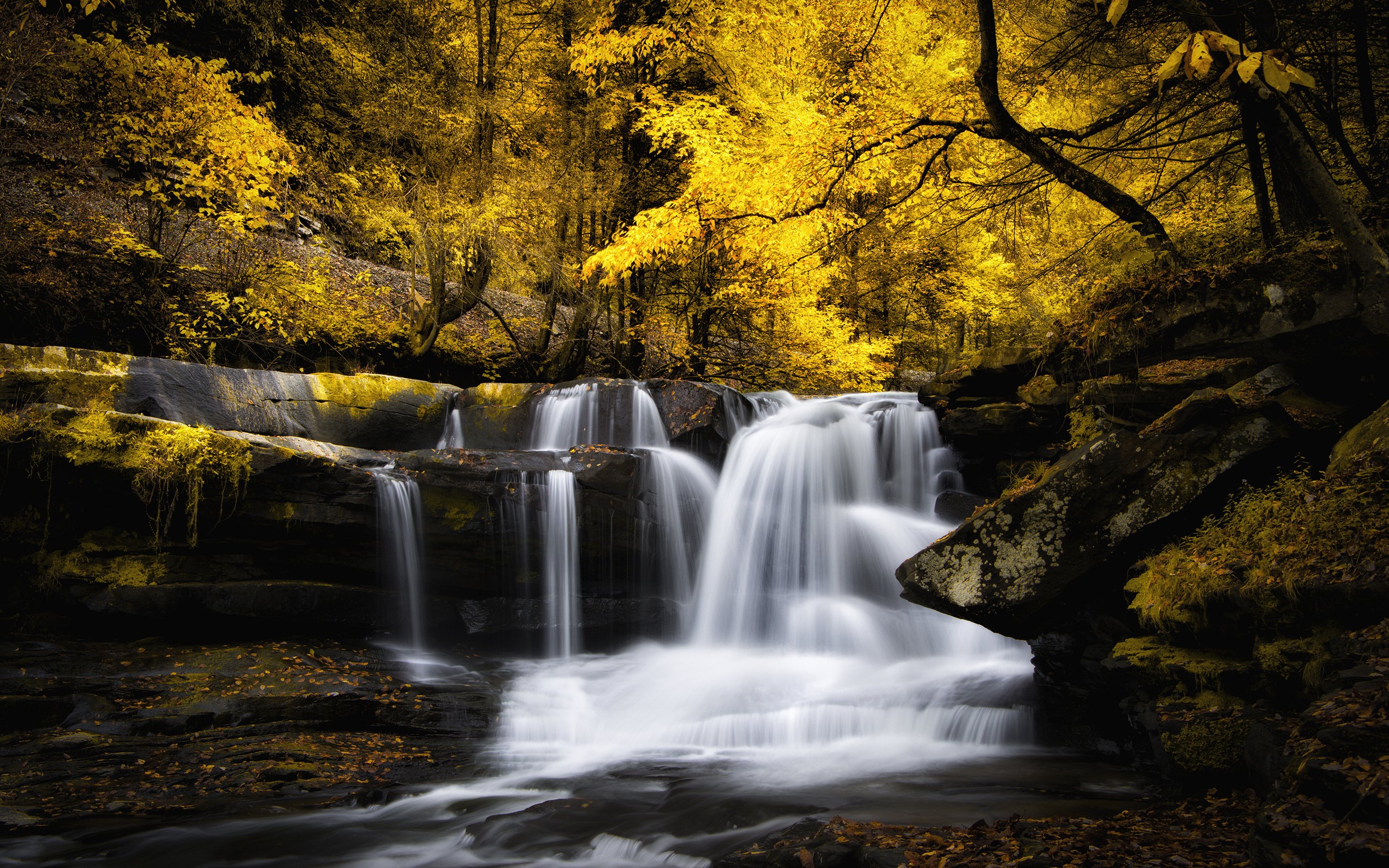 waterfall, Autumn, Cascade, Forest, River, Stream Wallpaper