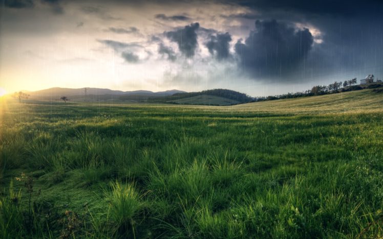 clouds, Field, Meadow, Nature, Rain, Grass, Hills HD Wallpaper Desktop Background
