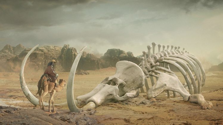 desert, Skeleton, Camel, Art, Bedouin, Daniel, Romanovsky HD Wallpaper Desktop Background
