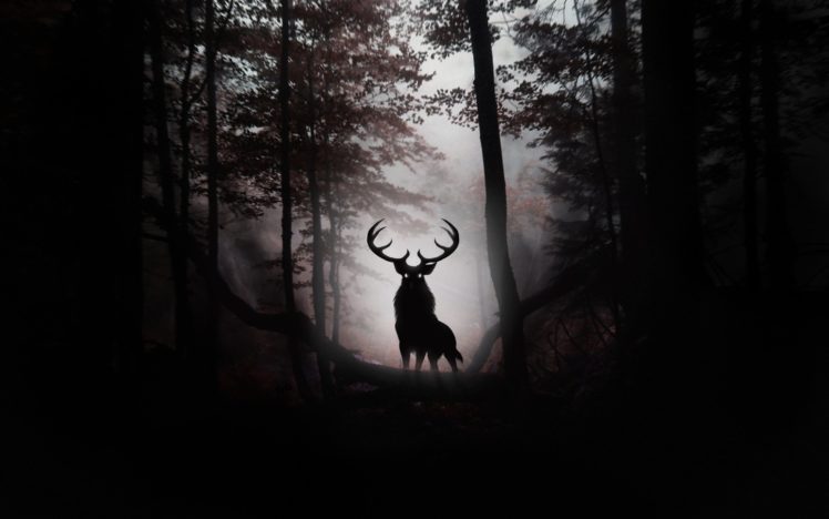 fog, Animal, Trees, Leaves, Art, Deer, Antlers, Forest HD Wallpaper Desktop Background