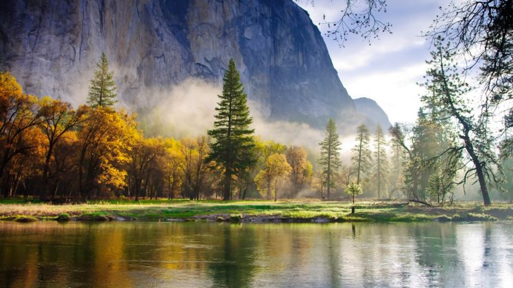forest, Mist, Lake, Morning, Eating, Nature, Mountain HD Wallpaper Desktop Background