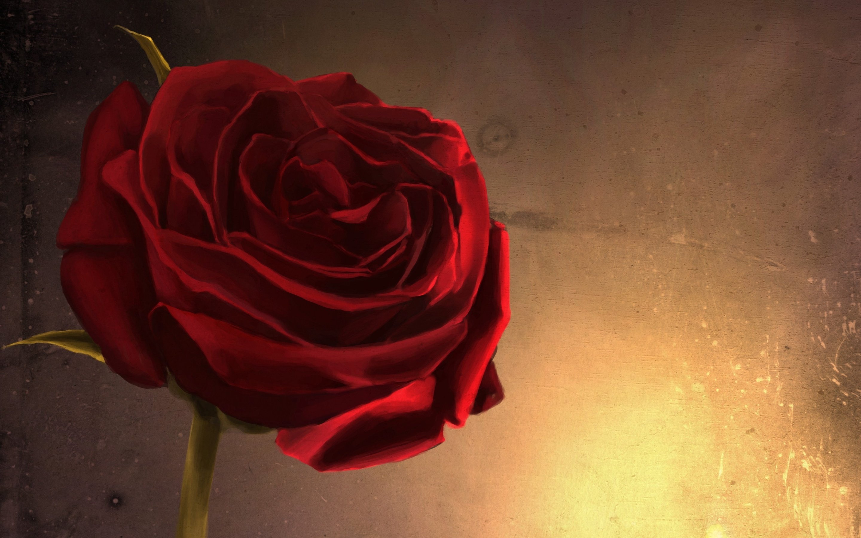 glow, Rose, Fire, Art, Flower, Wall, Close up, Red Wallpapers HD