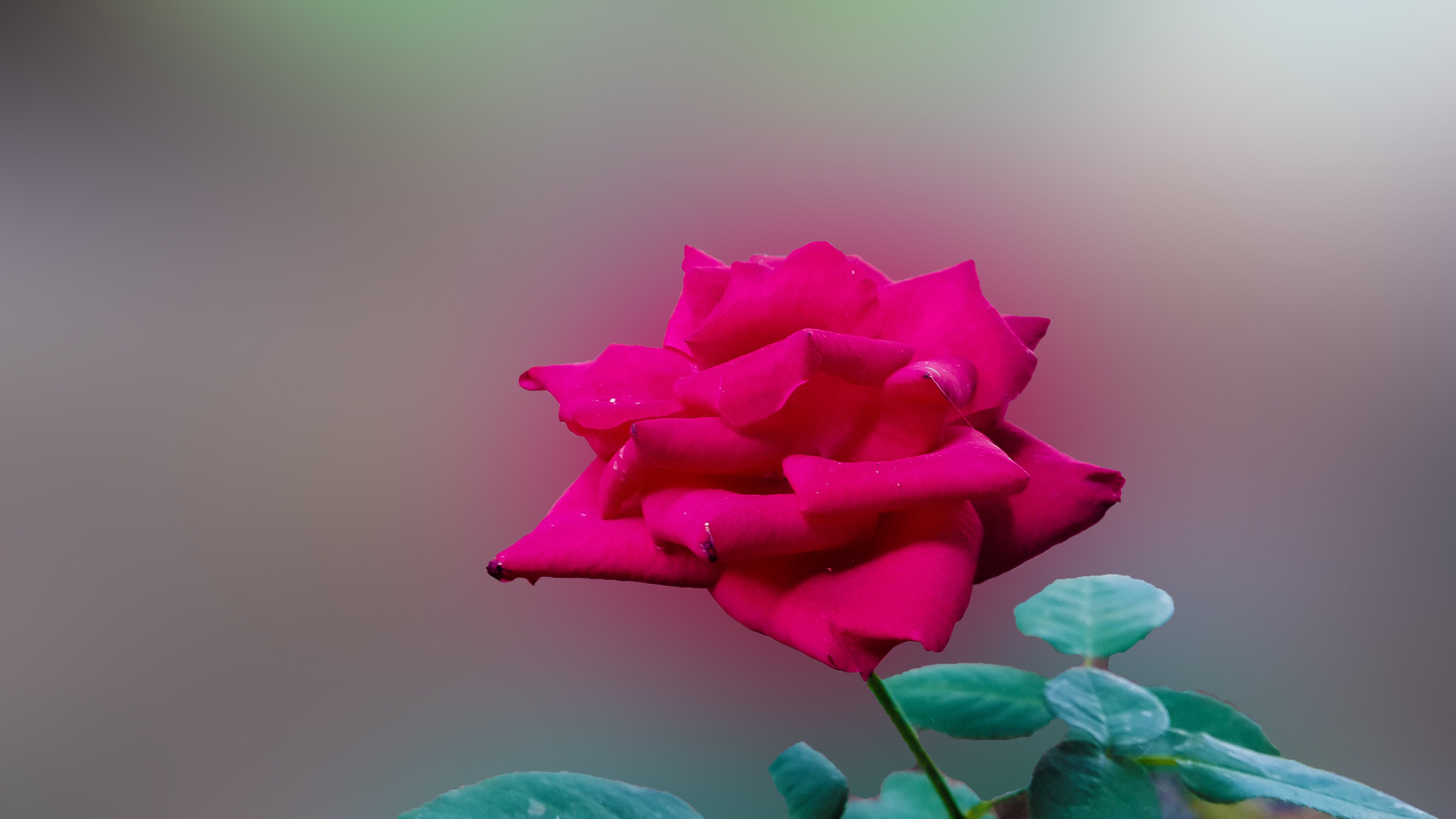 201504 Wallpaper