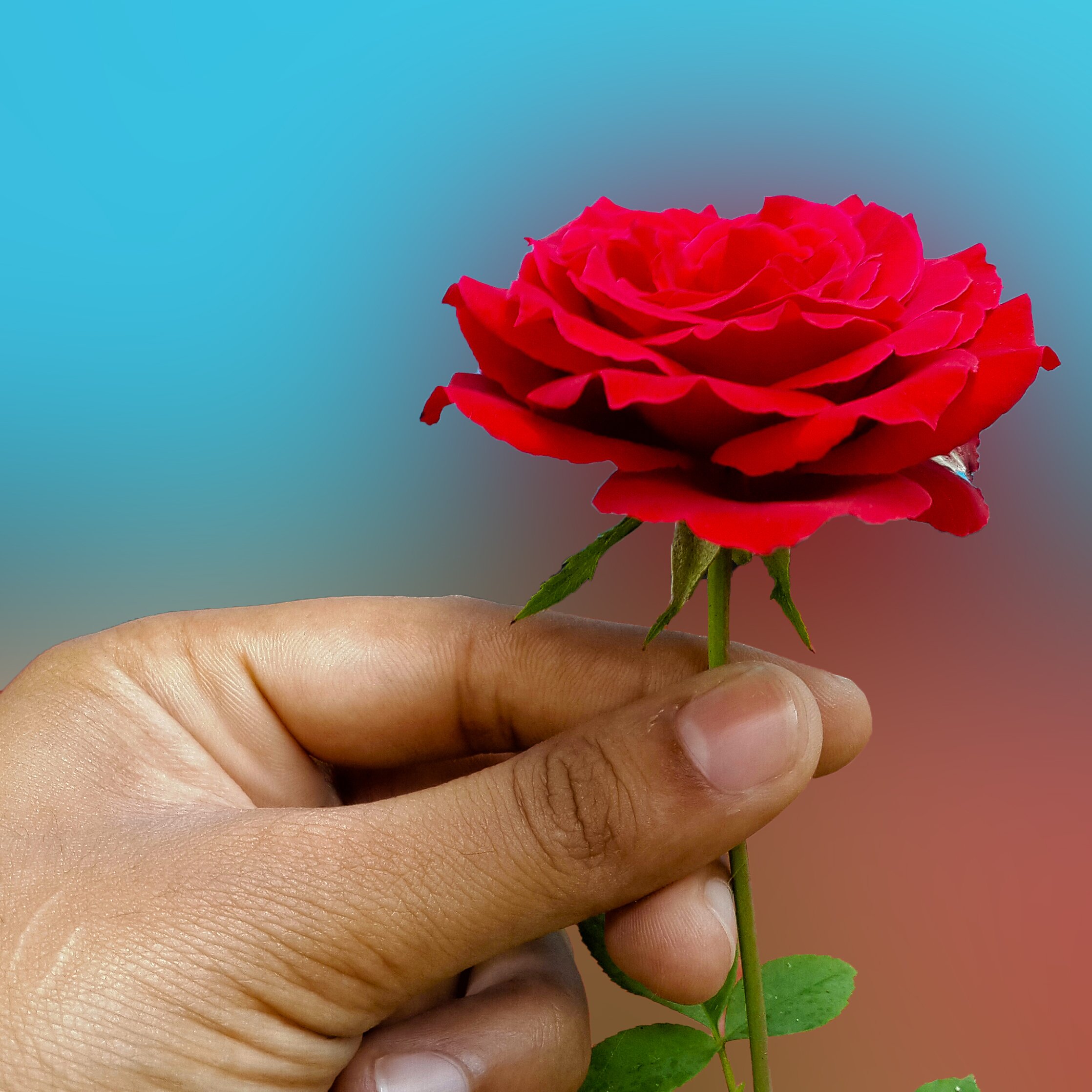 20150412, 130044,  9276 Wallpaper