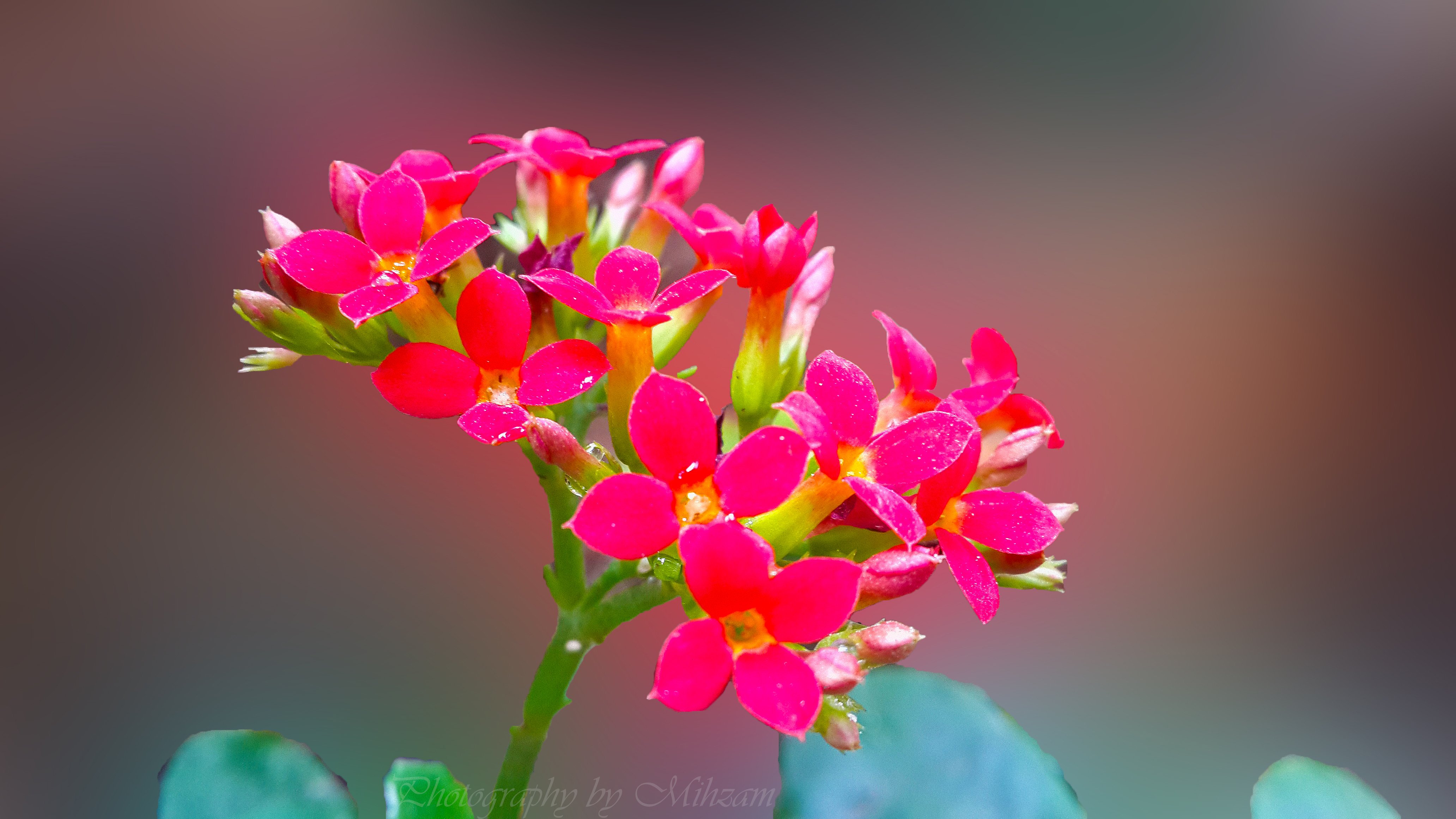 20150412, 13, Hd Wallpaper