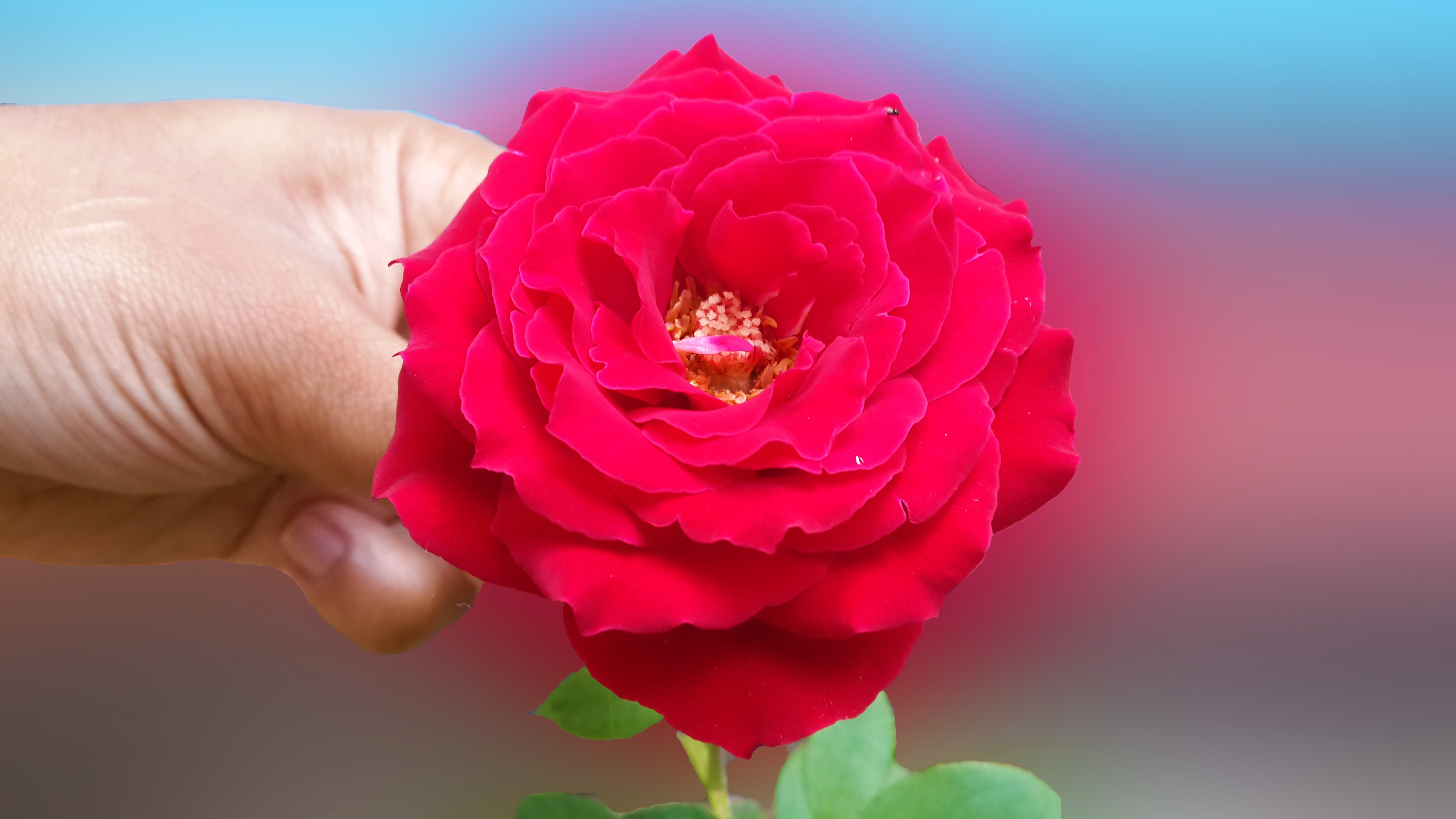 20150412, 130044,  927 , Hd Wallpaper