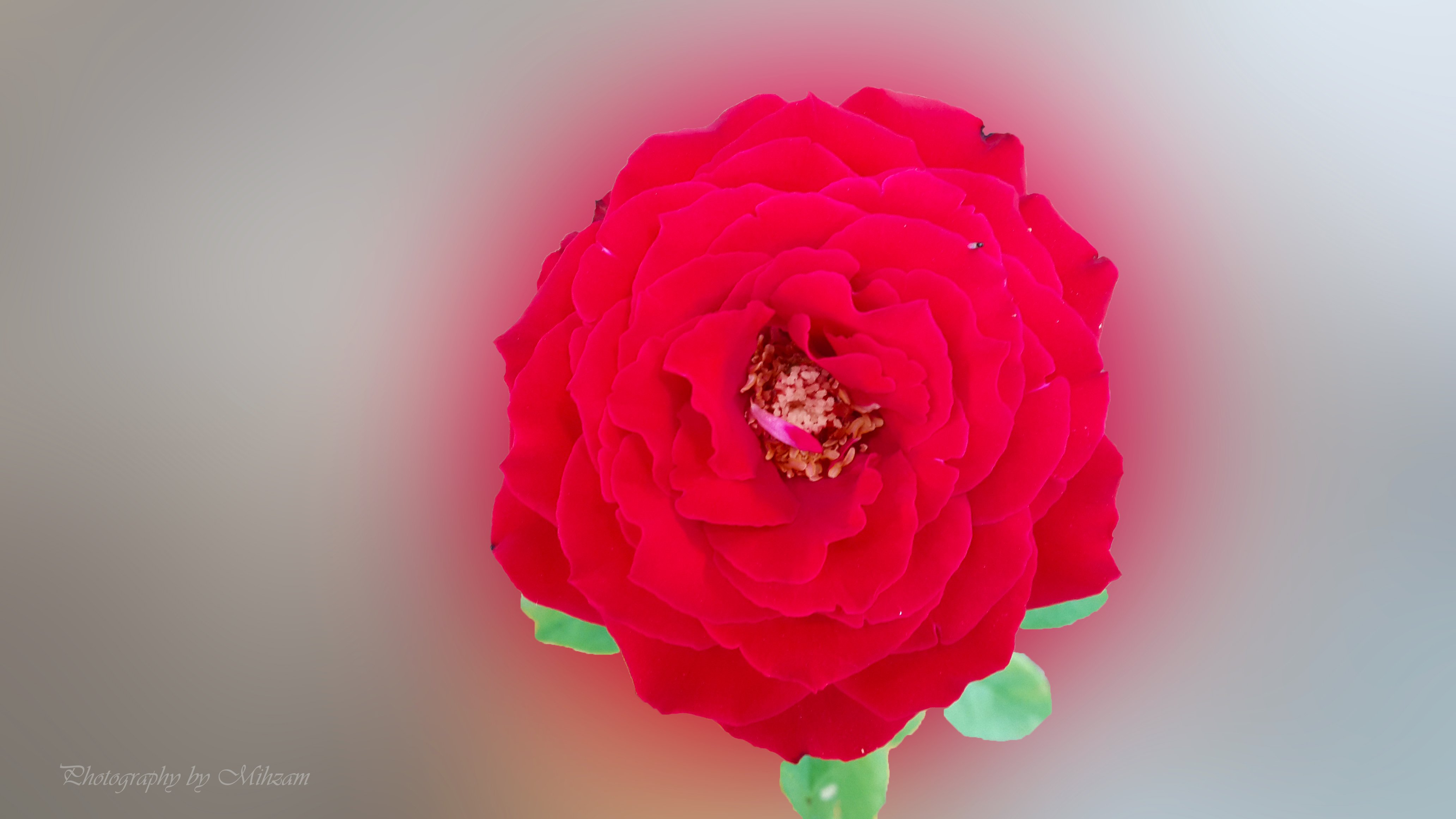20150412, 130044,  928, Hd Wallpaper