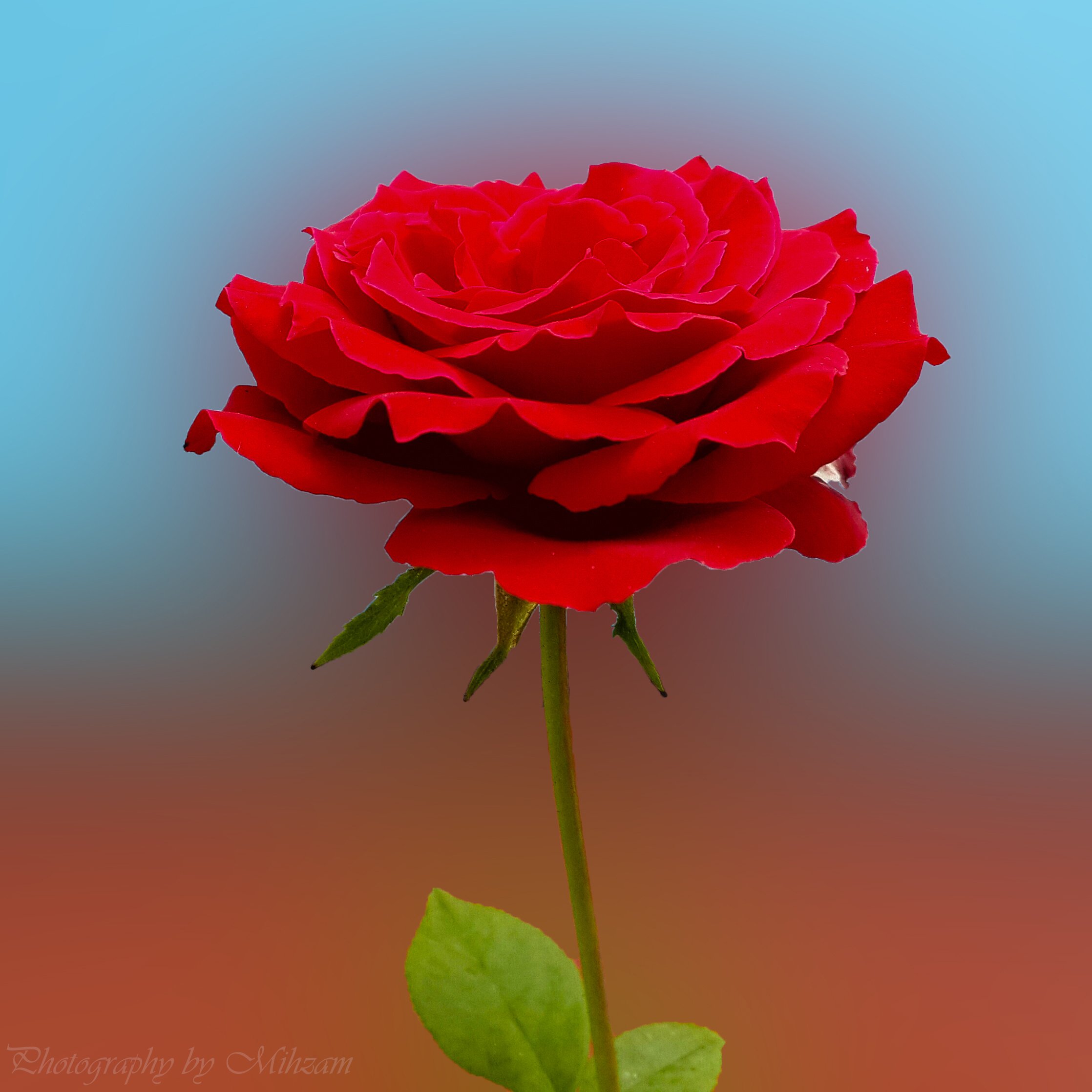 20150412, 130044,  9225 , Hd Wallpaper