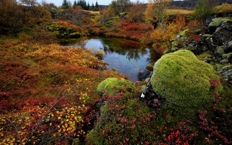 lake, Moss, Stones, Iceland, Trees, National, Park, Thingvellir HD Wallpaper Desktop Background