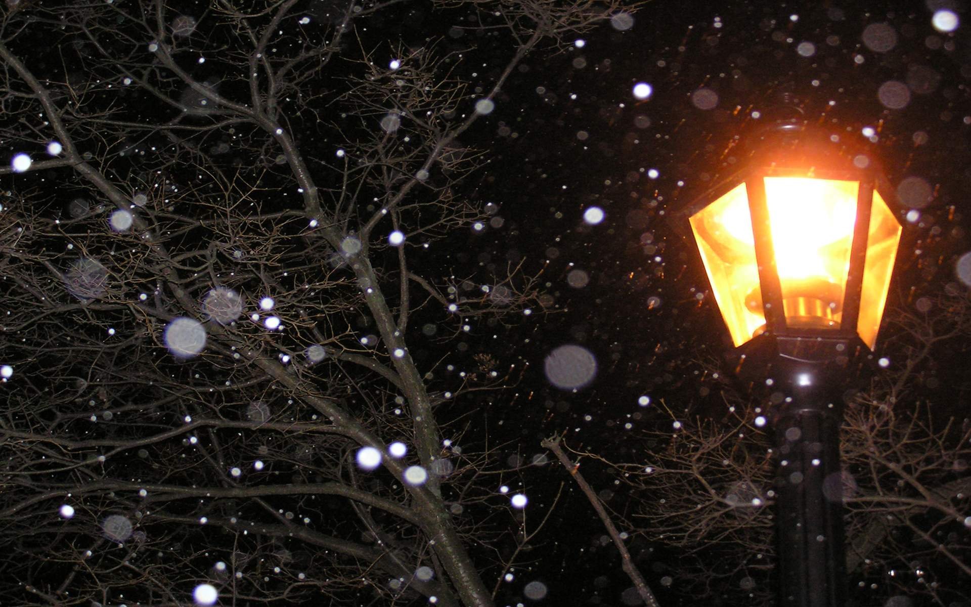 lamp, Post, Light, At, Night, Snow, Winter Wallpaper