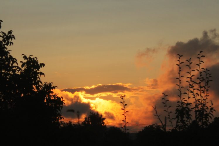 sunset, Evening, Sky, Clouds, Summer, Trees, Sun HD Wallpaper Desktop Background