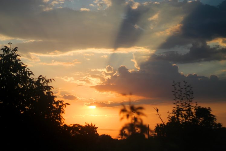 sunset, Evening, Sky, Clouds, Summer, Trees, Sun, Rays HD Wallpaper Desktop Background