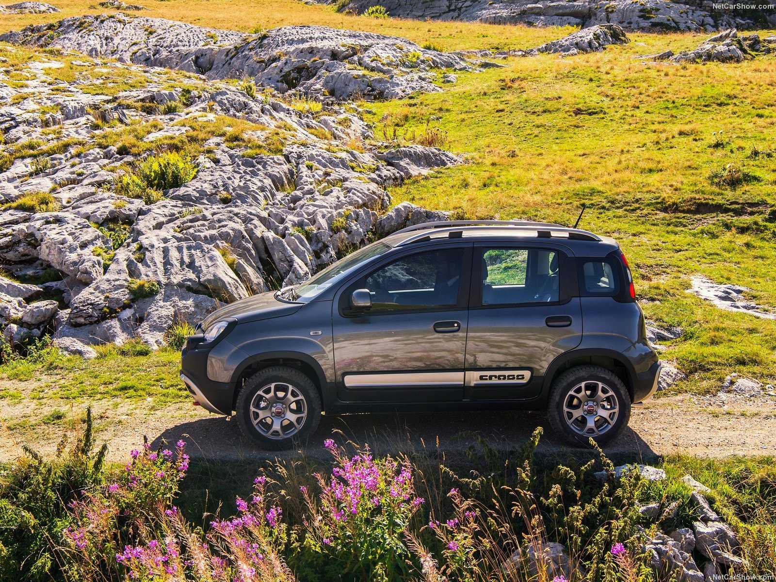 fiat, Panda, Suv, Cross, Cars, 2016 Wallpaper