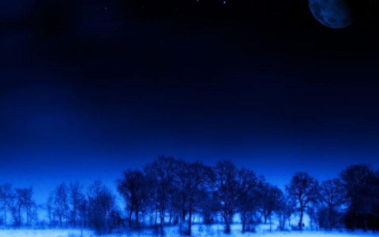 night, Moon, Trees, Stars, Dream, Blue, Beauty HD Wallpaper Desktop Background