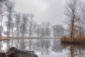pond, Foggy, Autumn, Day, Benc