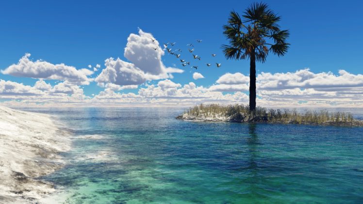 sea, Art, Hell, Escape, Artist, Seagulls, Palm, Clouds, Birds, Water HD Wallpaper Desktop Background