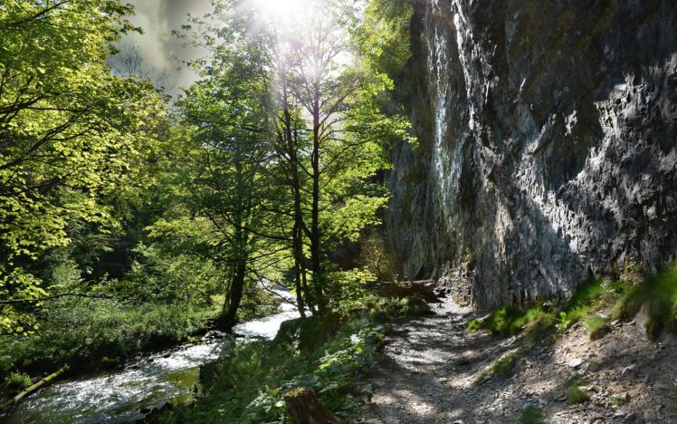 sunlight, Path, Trail, Forest, Rive HD Wallpaper Desktop Background