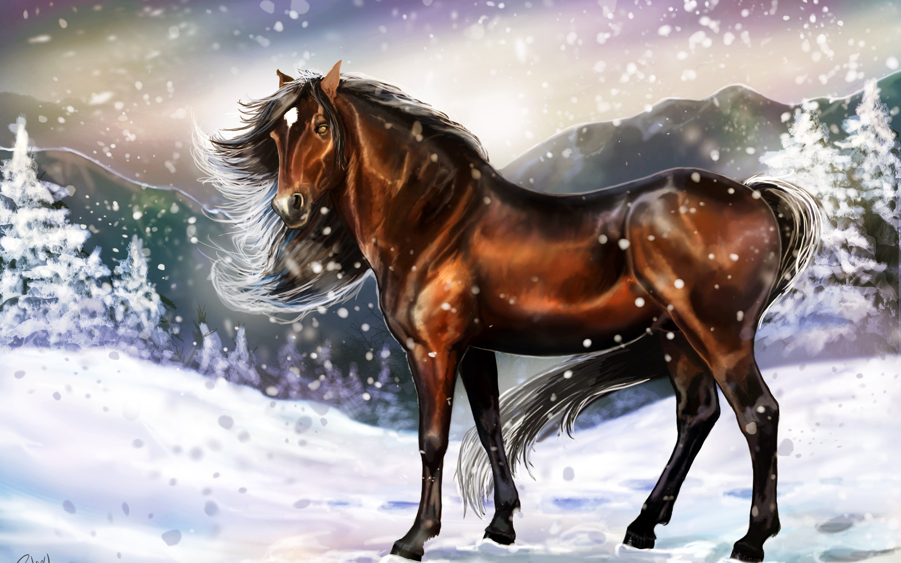 winter, Mane, Art, Look, Horse, Painting, Animal Wallpaper