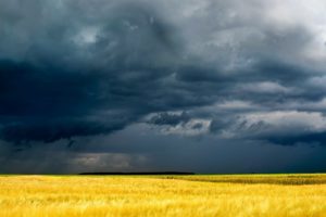 yellow, Clouds, Field, Grass, Darkly