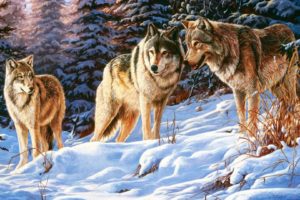 art, Oil, Painting, Drawing, Winter, Wood, Wolves, Small, Talk