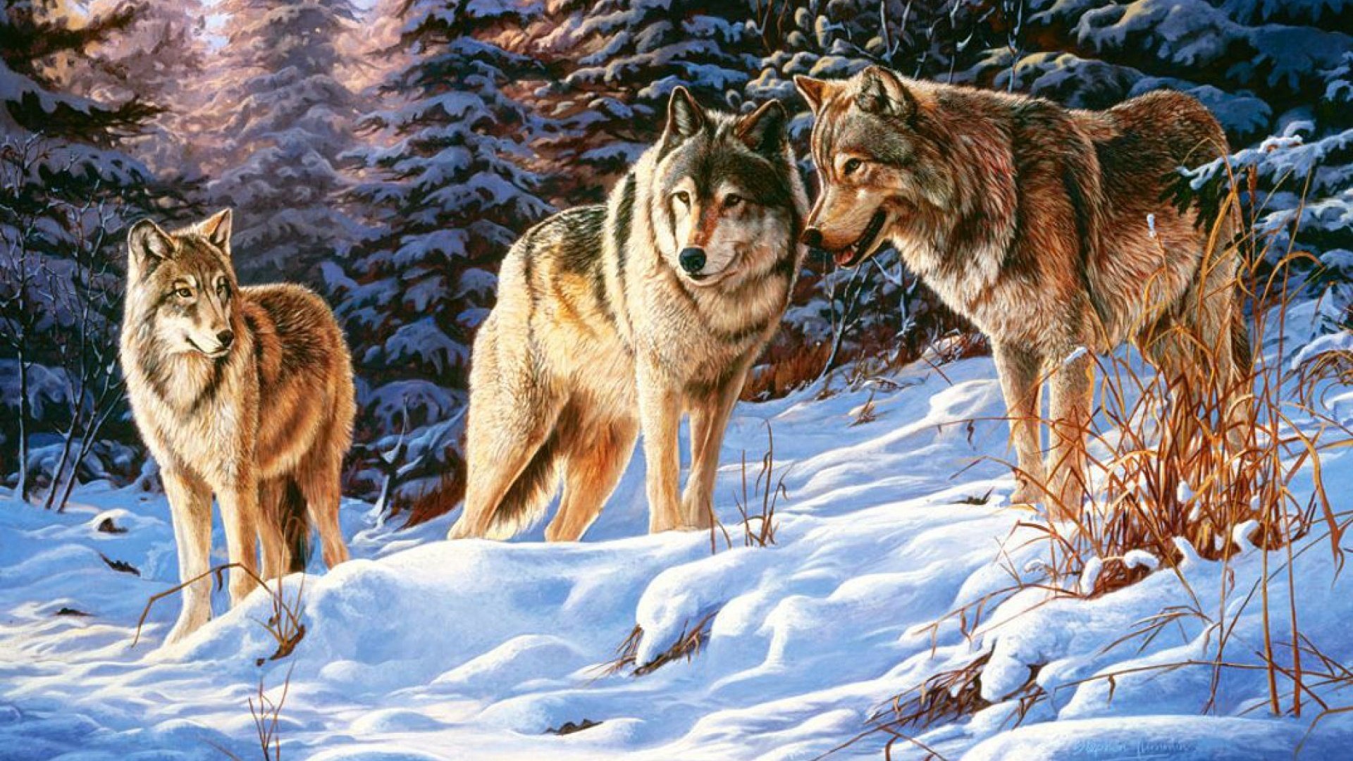 art, Oil, Painting, Drawing, Winter, Wood, Wolves, Small, Talk