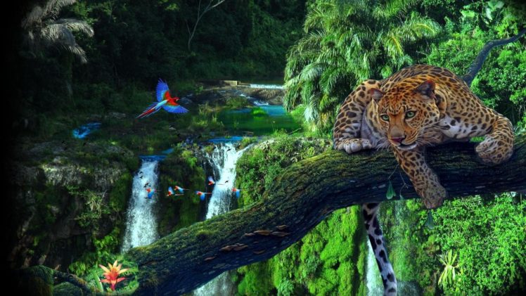 leopard, Parrots, Lovely, Jungle Wallpapers HD / Desktop and Mobile  Backgrounds