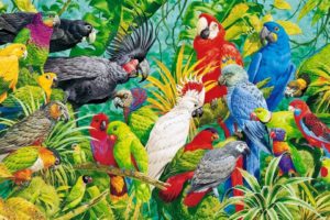 art, Oil, Painting, Drawing, Parrots, Paradise