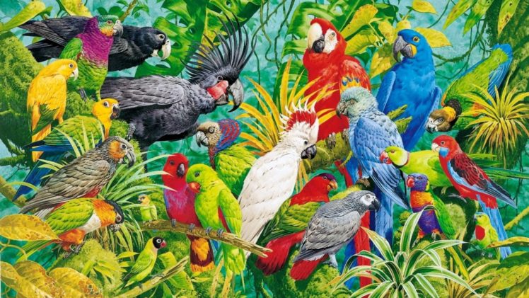 art, Oil, Painting, Drawing, Parrots, Paradise HD Wallpaper Desktop Background