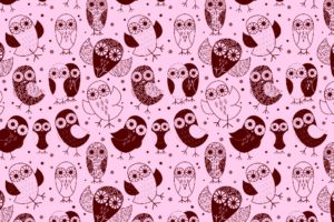 , Pattern, Owl, Texture