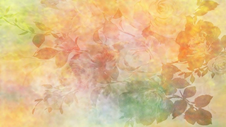 , Texture, Rose, Color HD Wallpaper Desktop Background