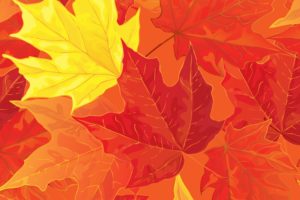 , Autumn, Leaf, Textur