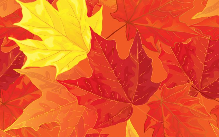 , Autumn, Leaf, Textur HD Wallpaper Desktop Background